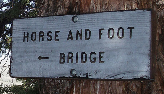 horse bridge